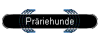Pr�riehunde